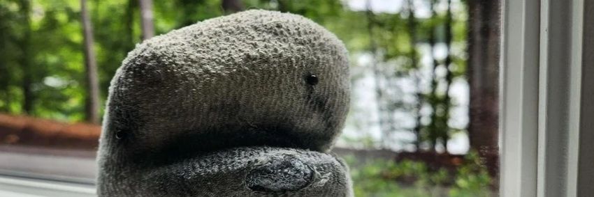 fusty banner