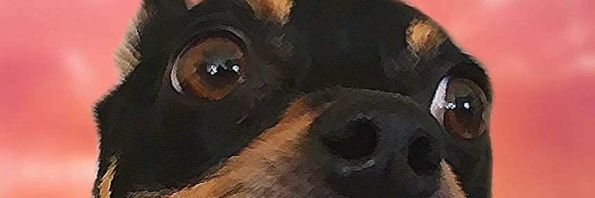 Spider Ma’am Sir banner