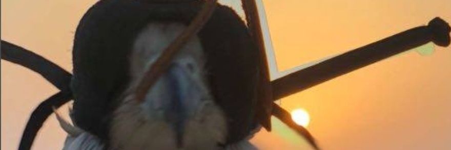 Fajer3406F's profile banner image