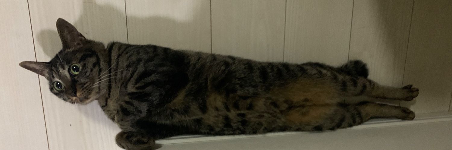 _O_G3_'s profile banner image