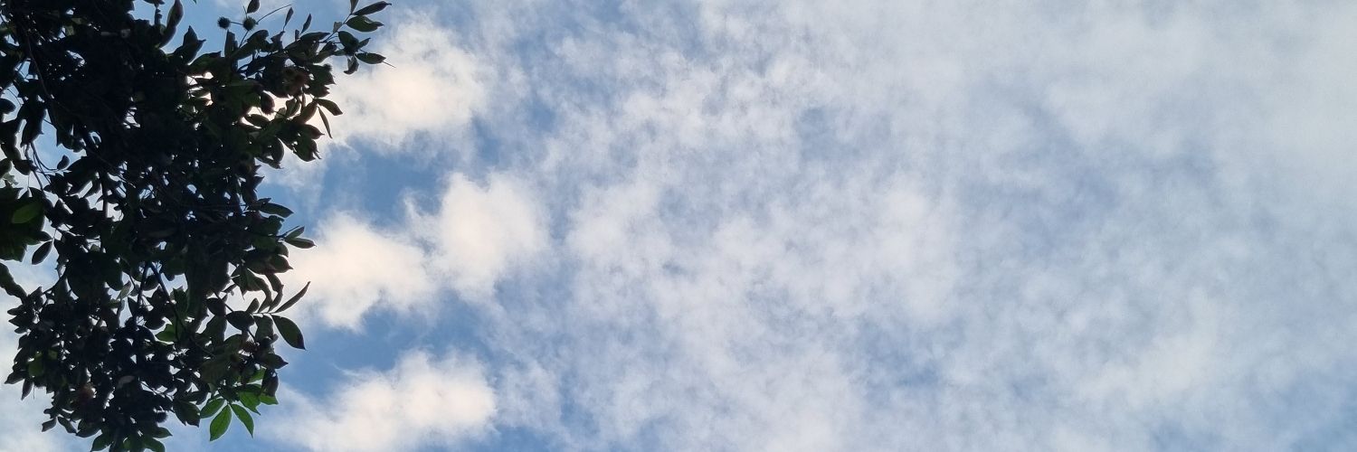 mega_yona's profile banner image