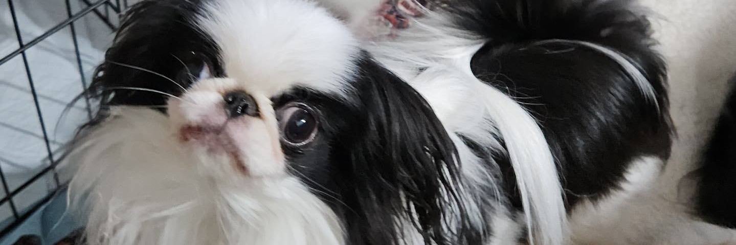itsfuntodo's profile banner image