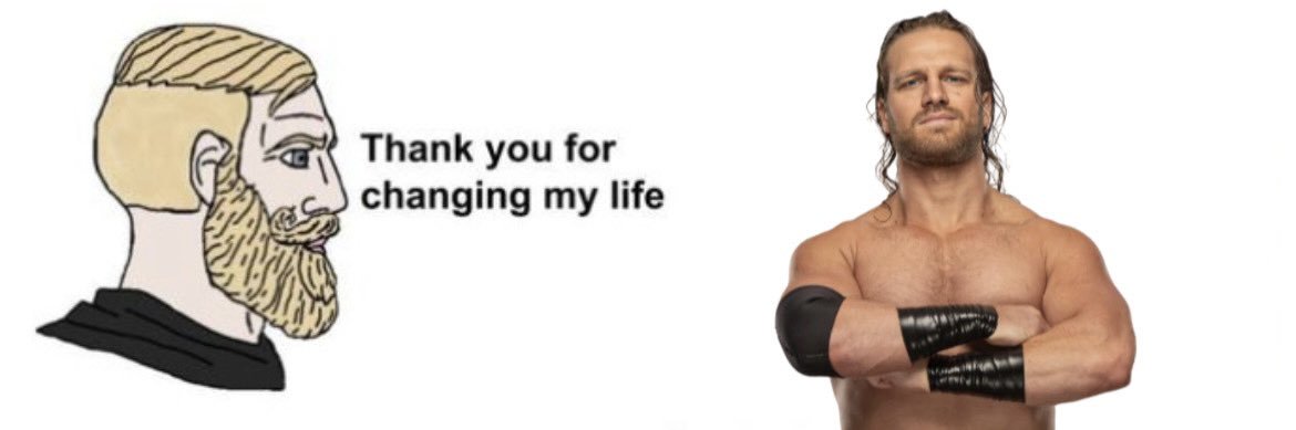 Wrestlingifs Enjoyer's banner