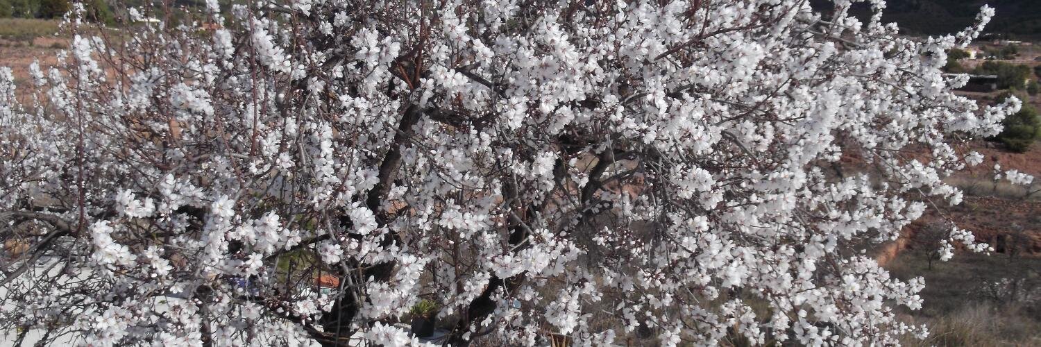250344j's profile banner image