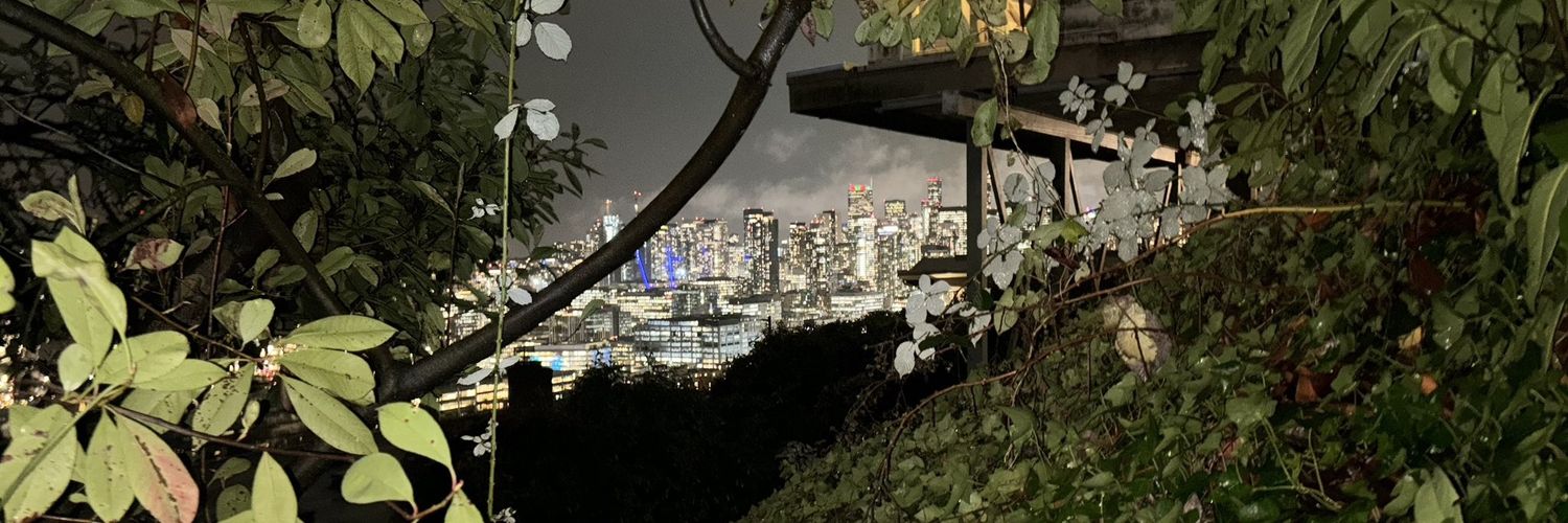 MothmanMilo's profile banner image