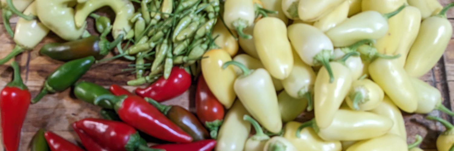 cactusflinthead's profile banner image