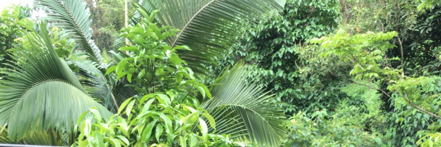 DIERAZO's profile banner image