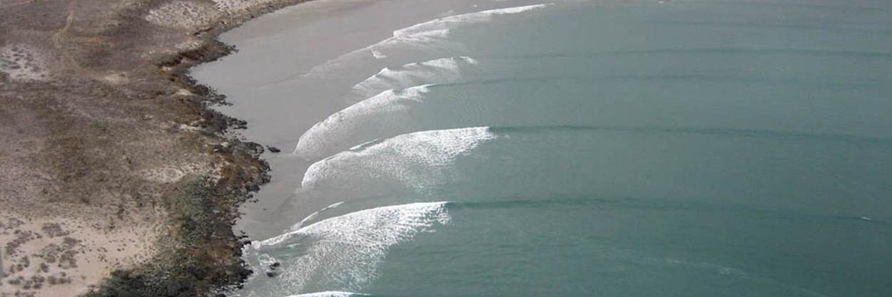 ScottTrattner banner