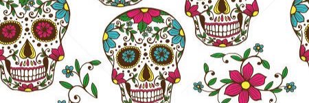 alli banner