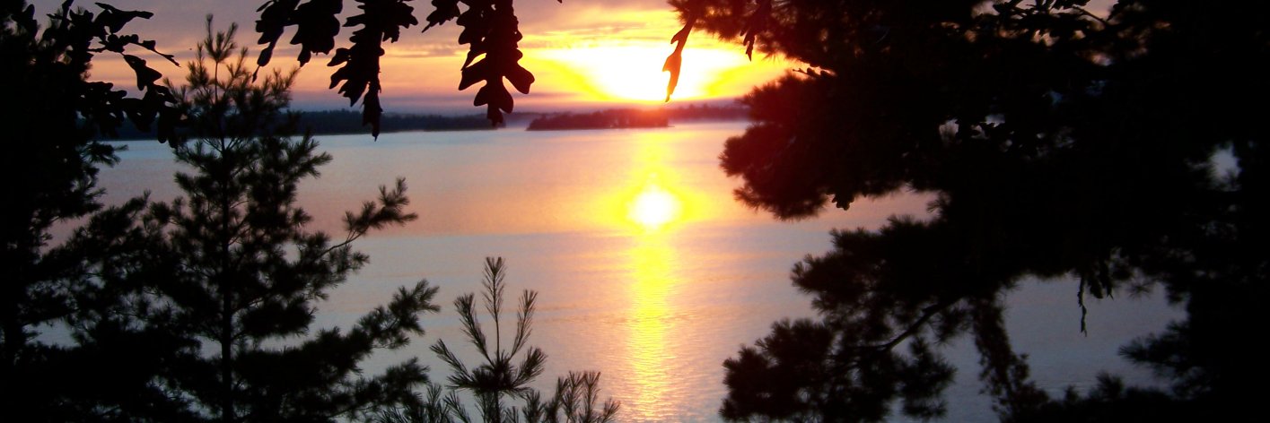 mandolfo's profile banner image
