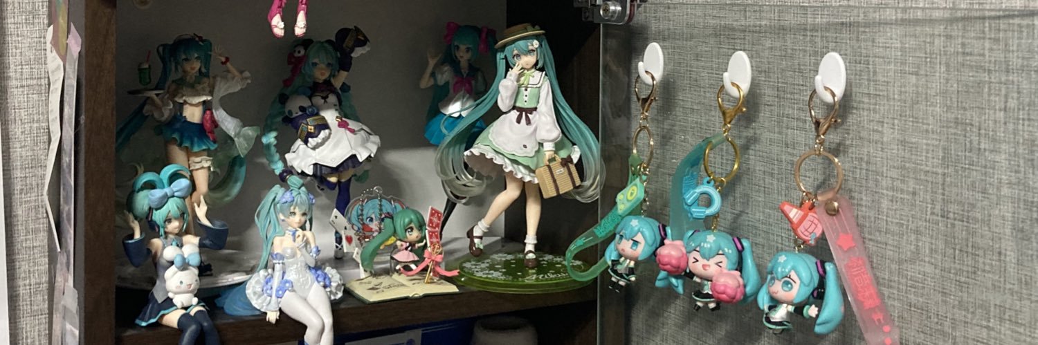 LowerWHflag's profile banner image