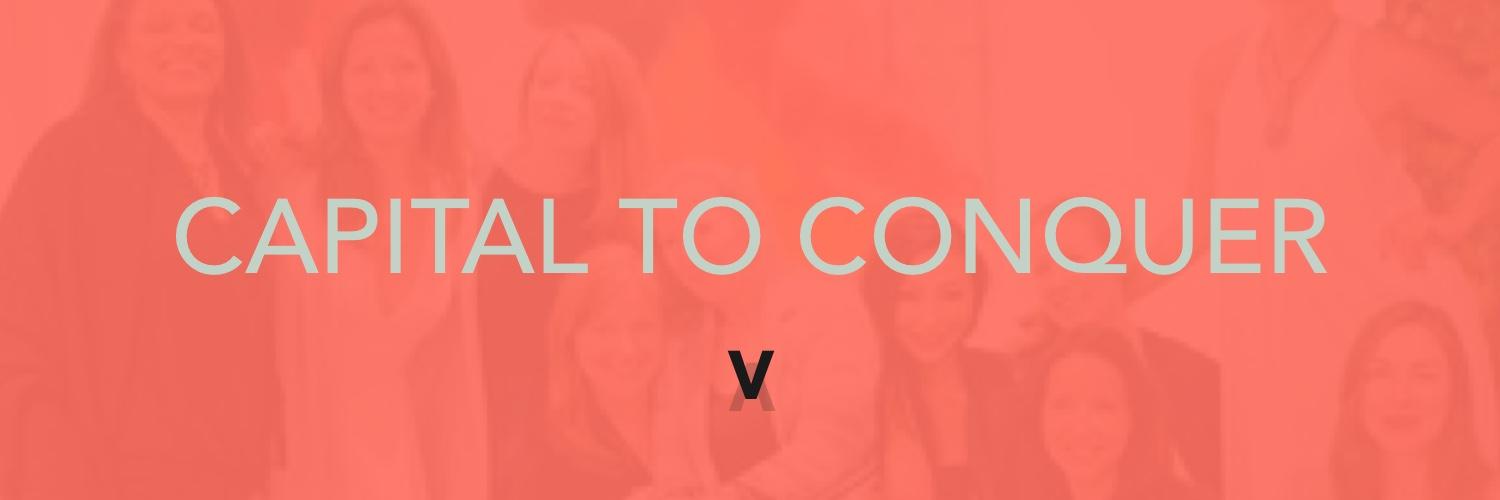 The Vinetta Project banner