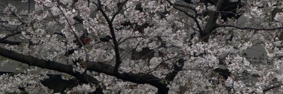 V_yooo__'s profile banner image