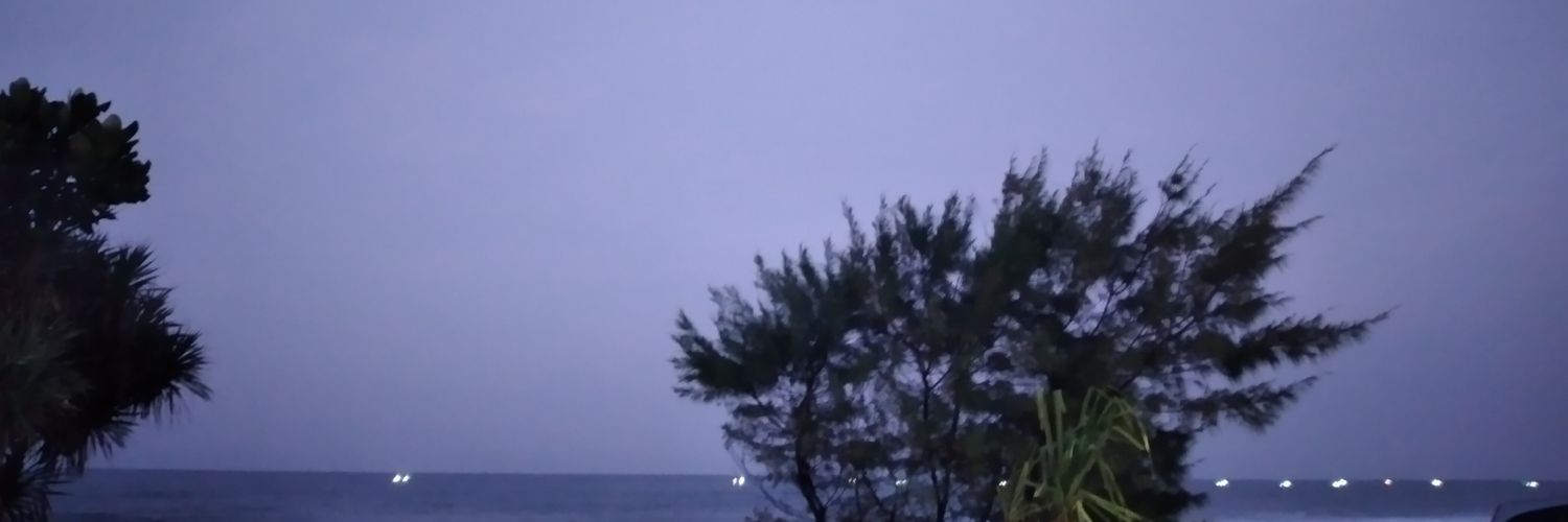 rositadebitya's profile banner image