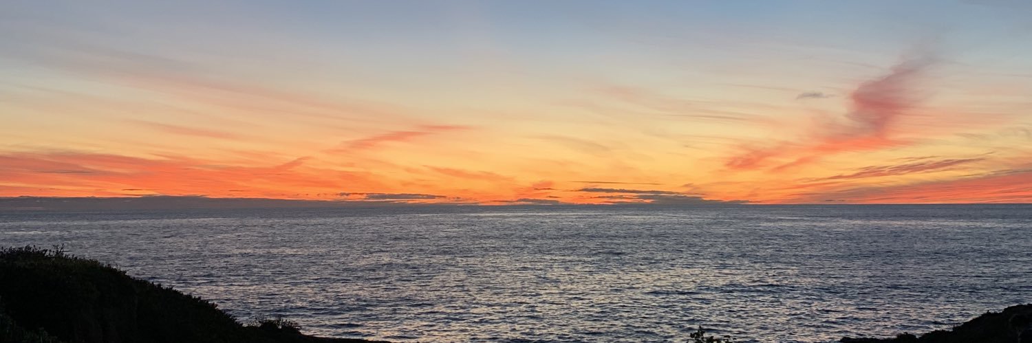 emmagomez___'s profile banner image