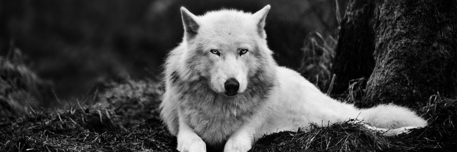 Bekir Ünal🇹🇷 banner