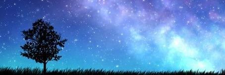 reimondy_2's profile banner image