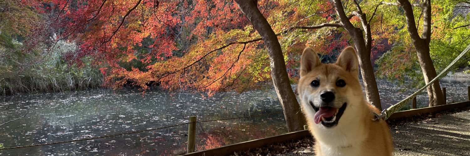 3568_masa36's profile banner image