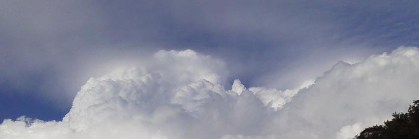 pangea741's profile banner image