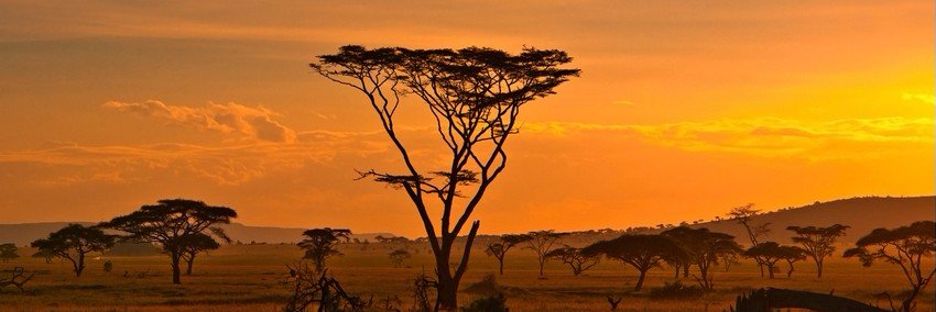 Loukdou's profile banner image