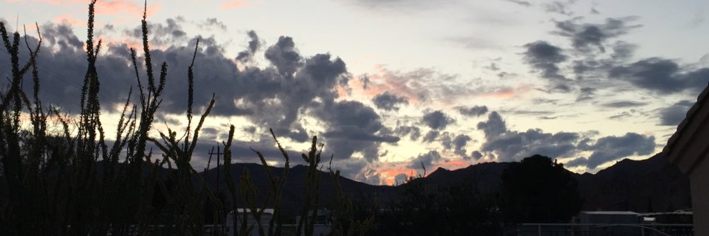 whoheals's profile banner image
