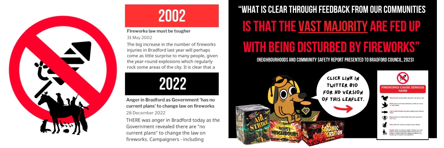 Bradford Fireworks Menace banner