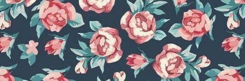 Fitriys banner