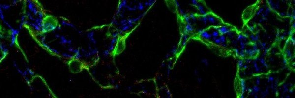 JJohnsonLab Profile Banner