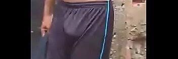 pau de cavalo banner