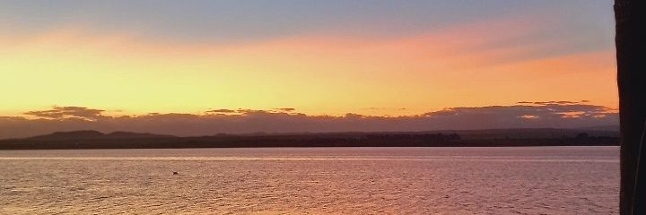 sofivictorians's profile banner image