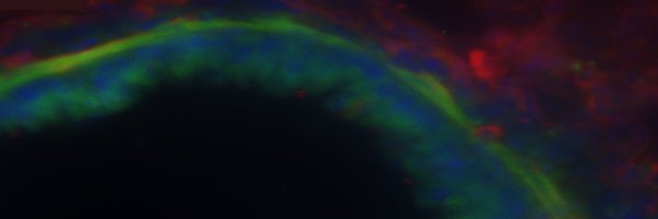 R_Bignold Profile Banner