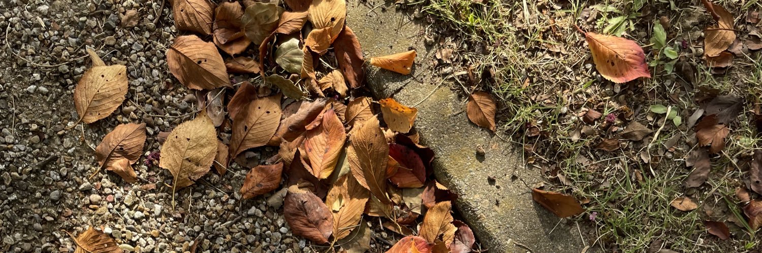 CookieShoes's profile banner image