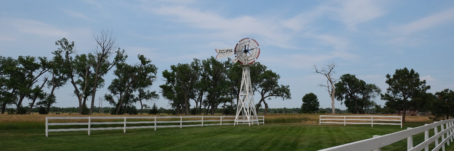 Christine Harvey banner