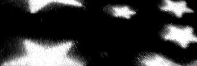dinorinaurus's profile banner image