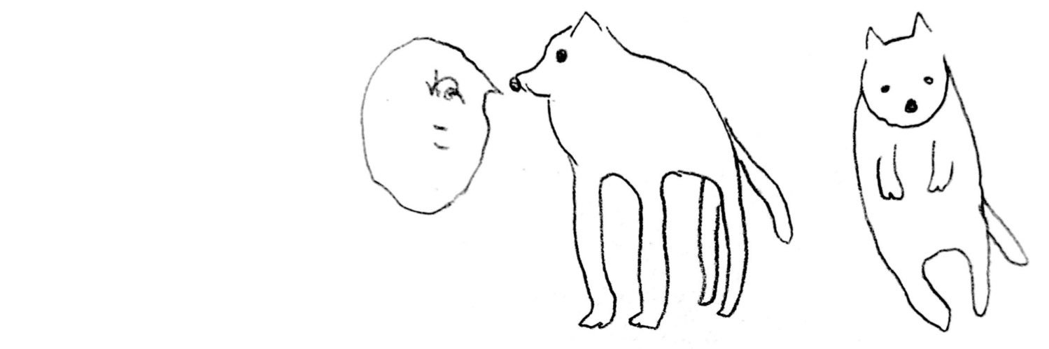 水モグラ🦔's banner