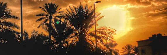 nphone151's profile banner image