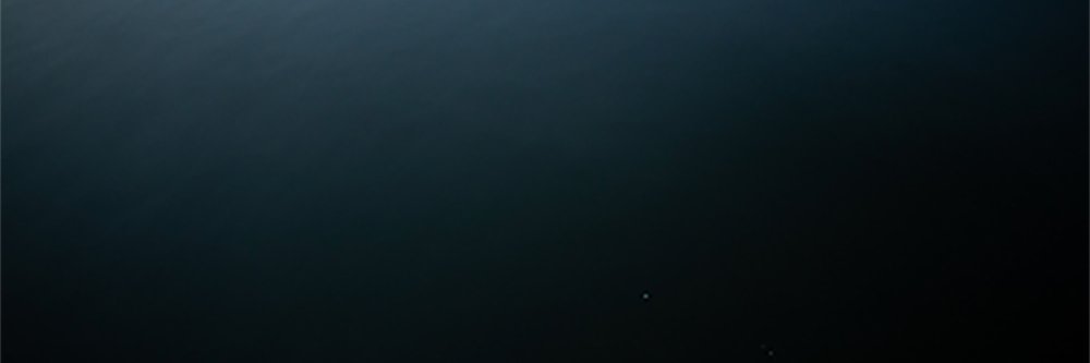 ryanburleson's profile banner image