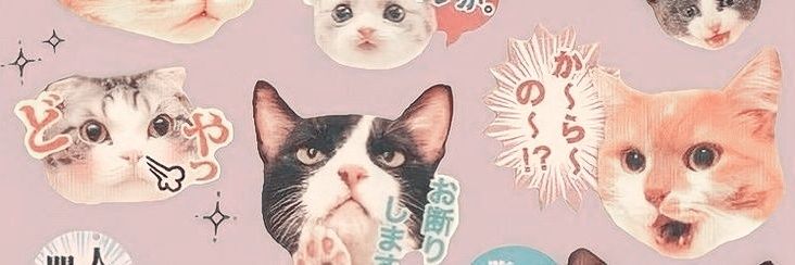 cattojuyo's profile banner image
