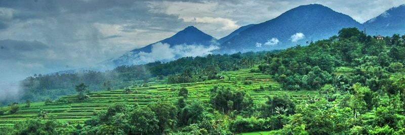 sgchauhan11's profile banner image