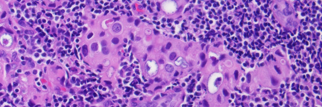 keithkaplanmd banner