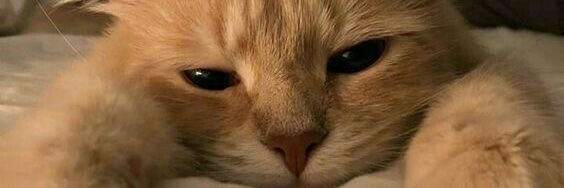 Loomy43's profile banner image