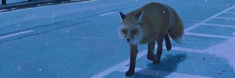 Carl_Fox's profile banner image