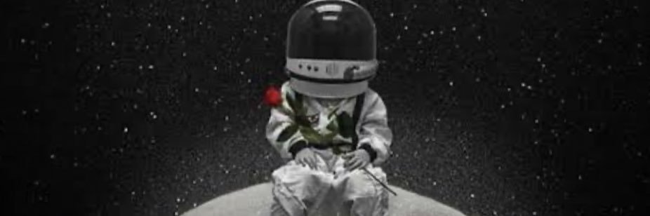 cati_luz's profile banner image