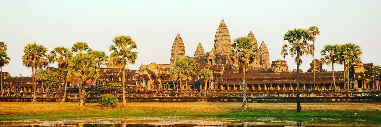 ゆみ🌈🎲⚾️ banner