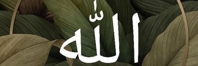 Raqib Halidu Holma banner