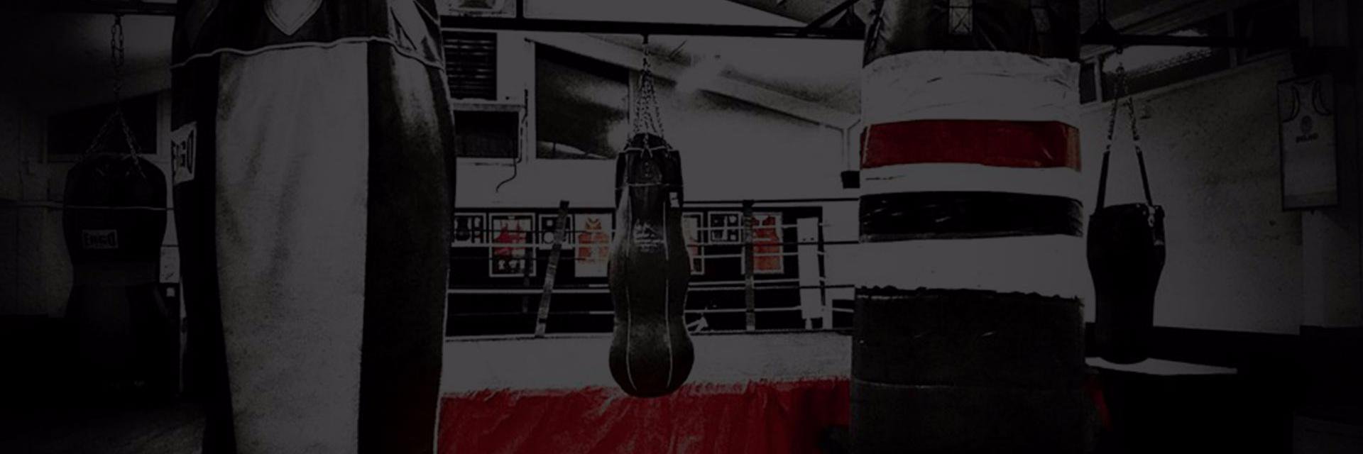 Salisbury ABC banner