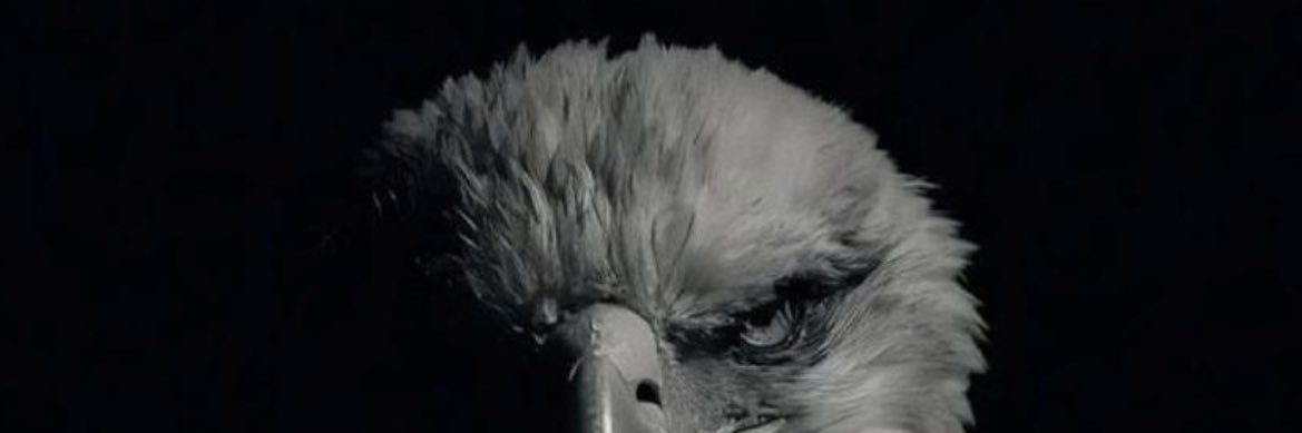 orkunsilvaa's profile banner image