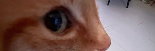 SuuBly_VLR Profile Banner