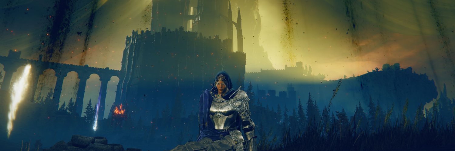 aylaerys's profile banner image