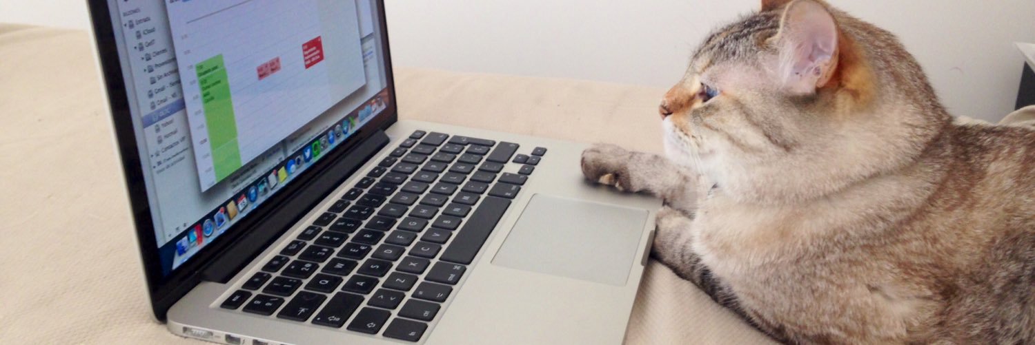 Ignacio Serna banner